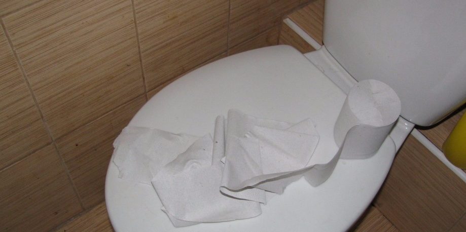 Чаще всего причиной засора становится плотный ком туалетной бумаги.